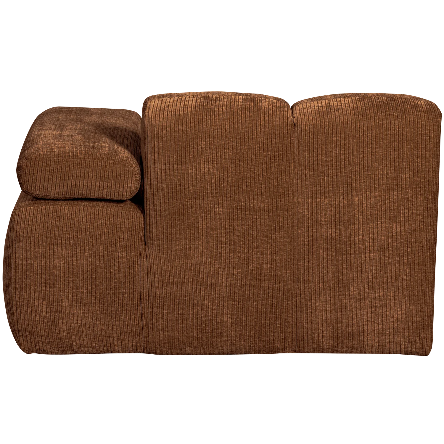 Element Mojo rust brown rebrasti, desni - Slika 7